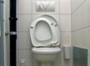 Weil öffentliche Toiletten auf Bahnhöfen zumeist kostenpflichtig sind, benutzen viele Besucher die WCs stehender Züge.
