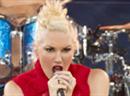 Sängerin Gwen Stefani hatte «total viel Spass» in der Zeit vor ihrem Durchbruch mit 'No Doubt'.