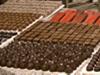 Barry Callebaut wächst weiter